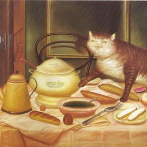 Meet your Posher, Kai